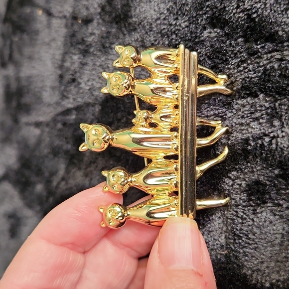 Jewelry - 2 cat pins